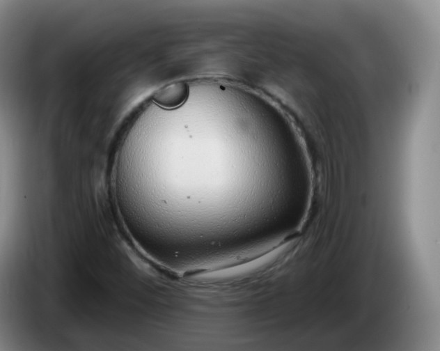 X0000085081452200703121653