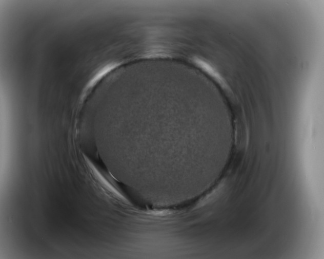 X0000085081453200703121653