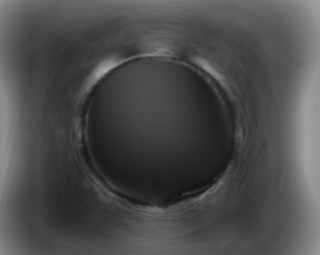 X0000085081455200703121653