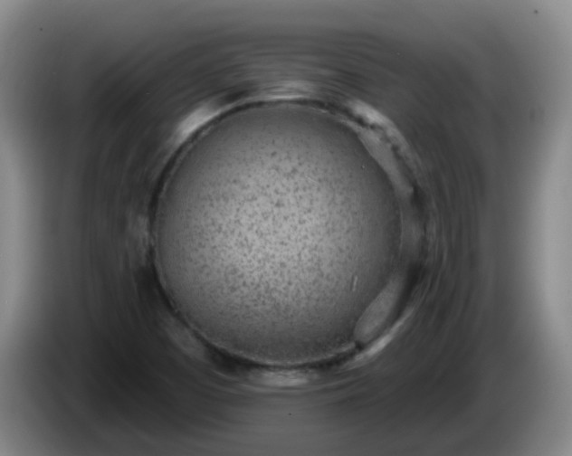 X0000085081457200703121653