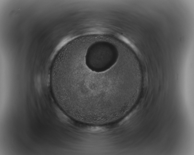 X0000085081459200703121653