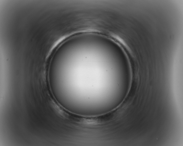 X0000085081460200703121653