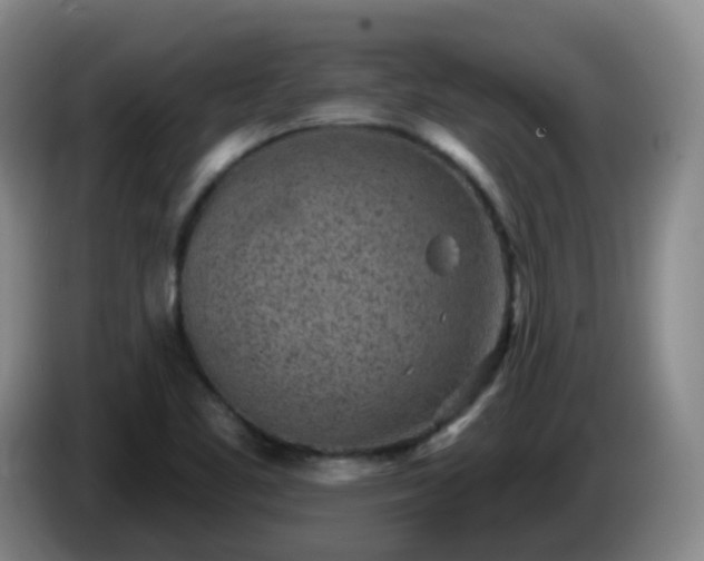 X0000085081461200703121653