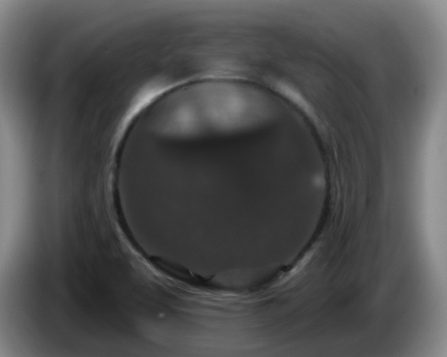 X0000085081463200703121653