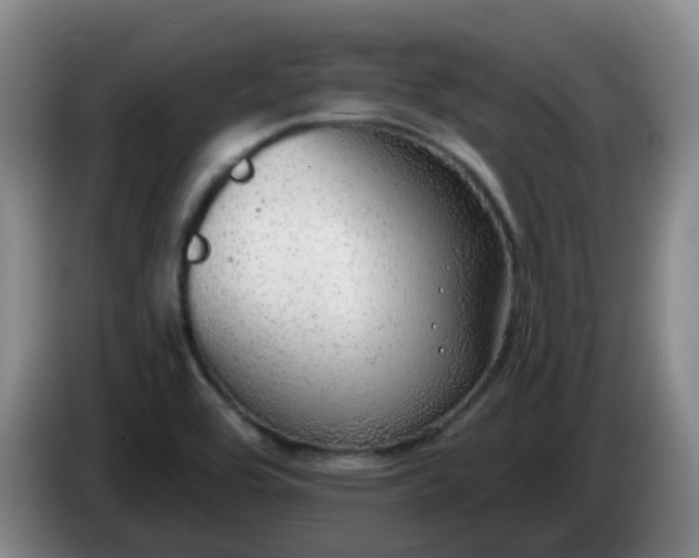 X0000085081464200703121653