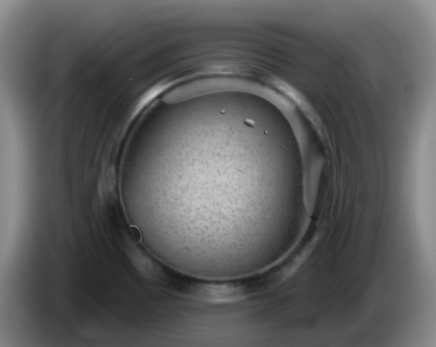 X0000085081465200703121653