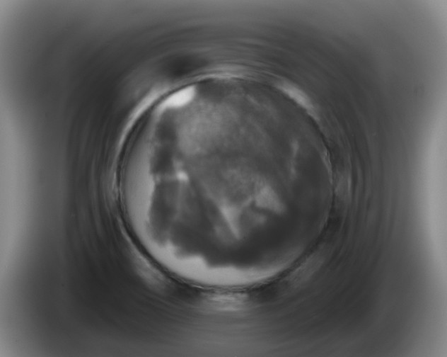 X0000085081466200703121653