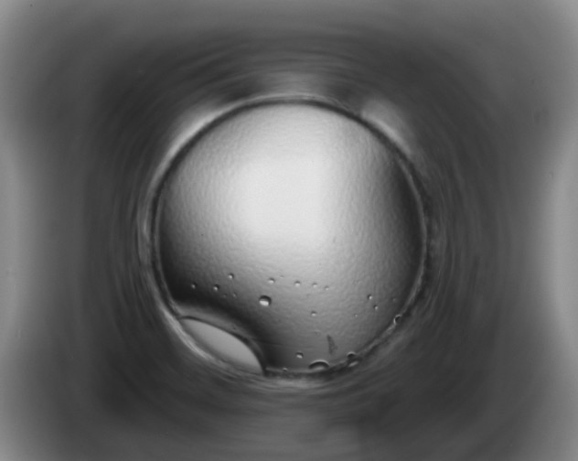 X0000085081468200703121653