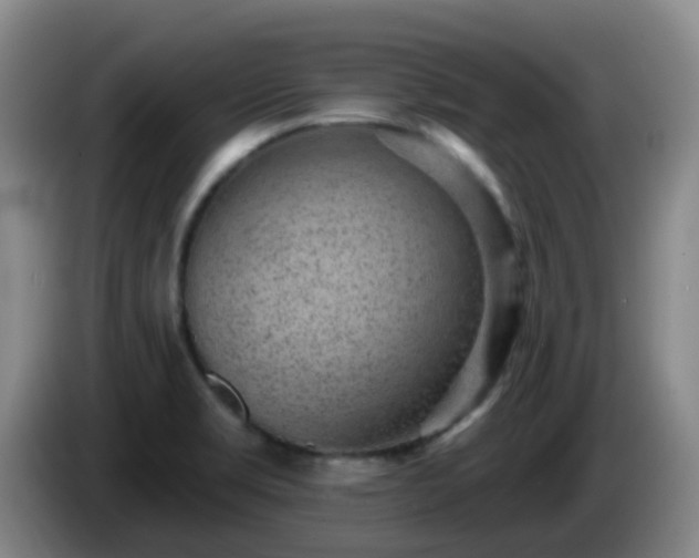 X0000085081469200703121653