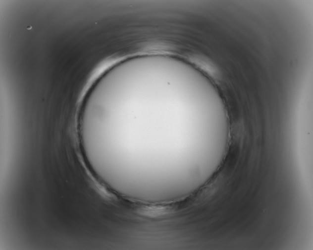 X0000085081470200703121653