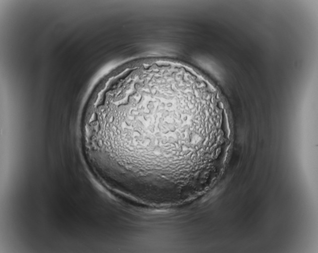 X0000085081471200703121652