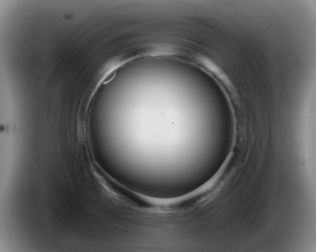 X0000085081473200703121652