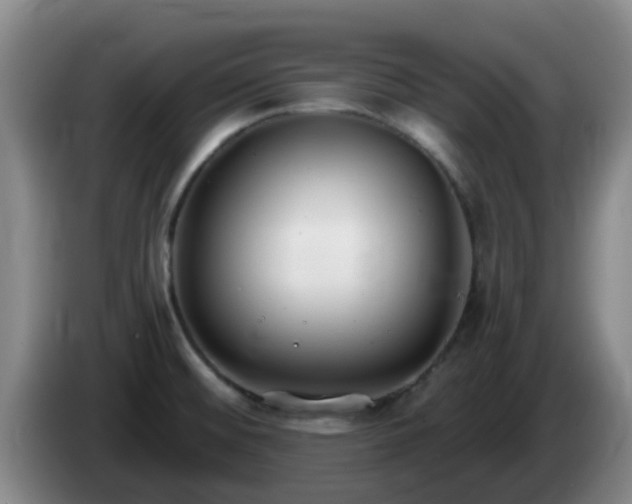 X0000085081476200703121652