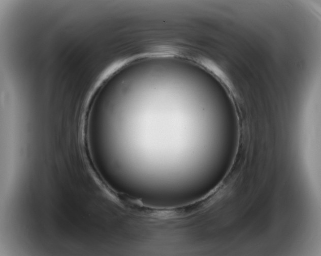 X0000085081477200703121652