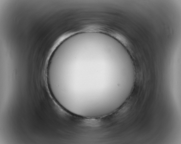 X0000085081478200703121652