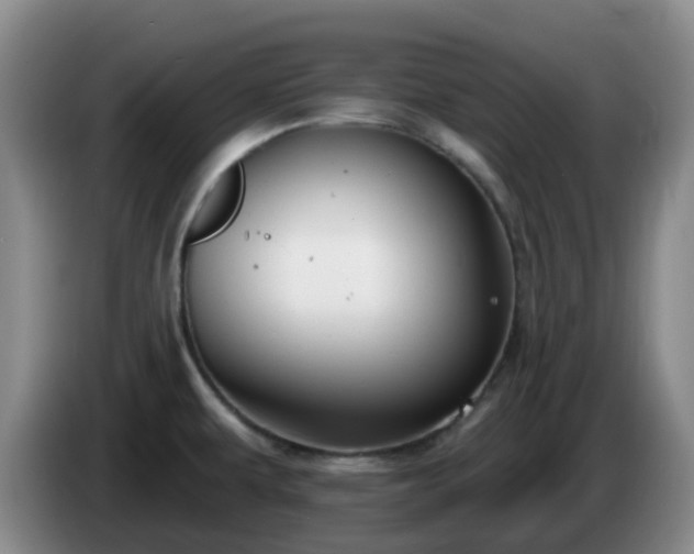 X0000085081479200703121652