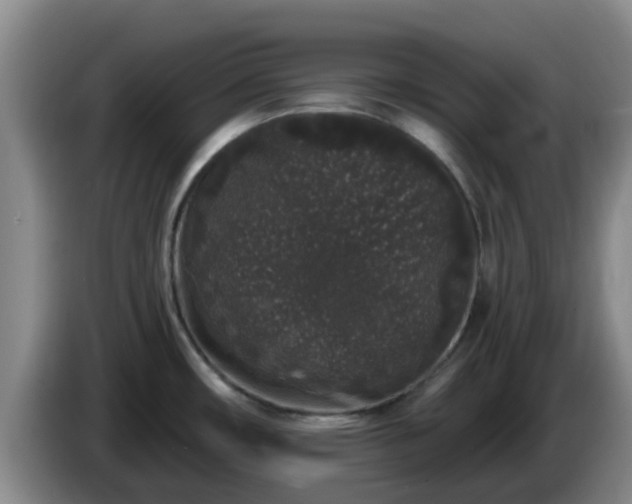 X0000085081482200703121652