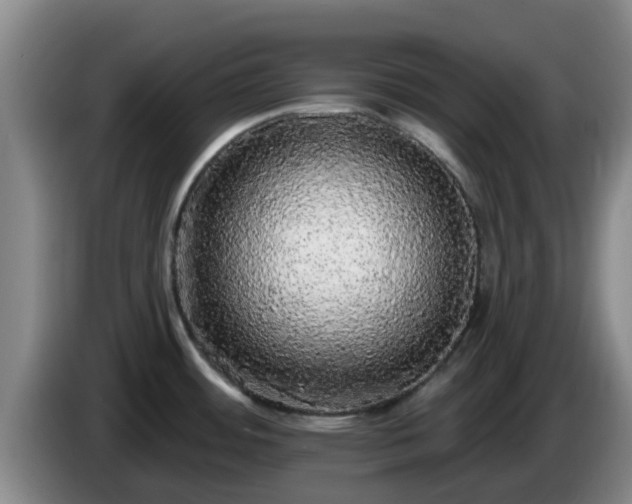 X0000085081484200703121652