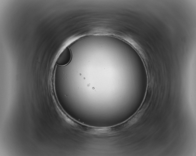 X0000085081486200703121652