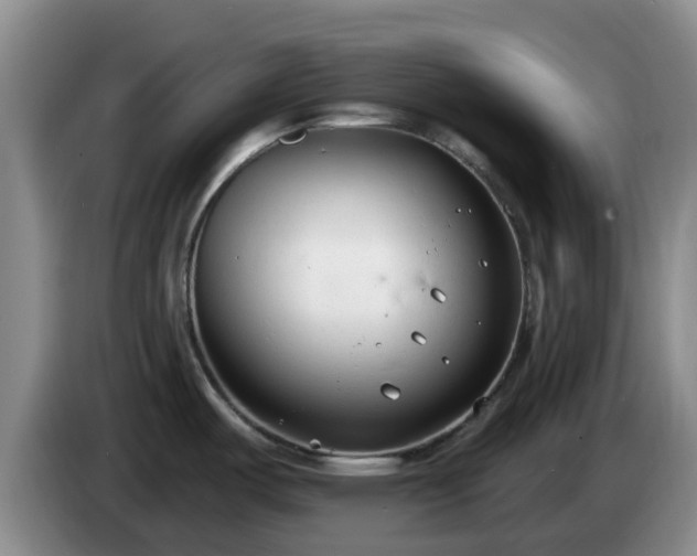 X0000085081487200703121652