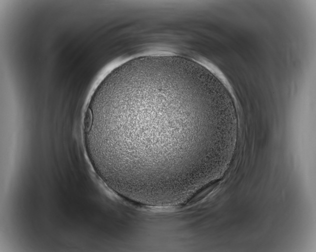 X0000085081488200703121652