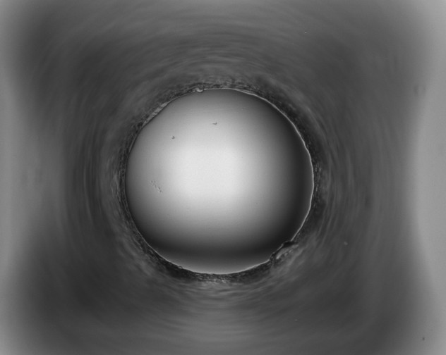 X0000085081489200703121652