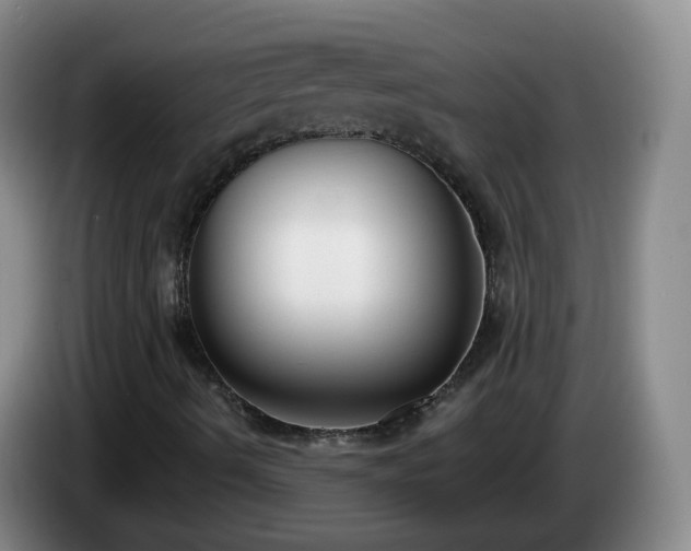 X0000085081490200703121652