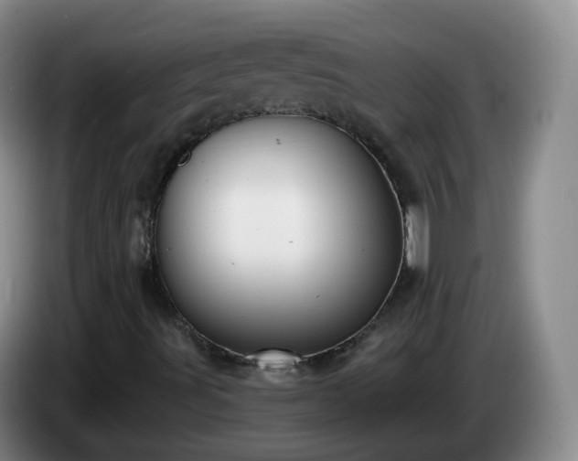 X0000085081491200703121652