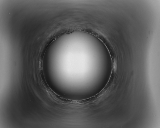 X0000085081492200703121652