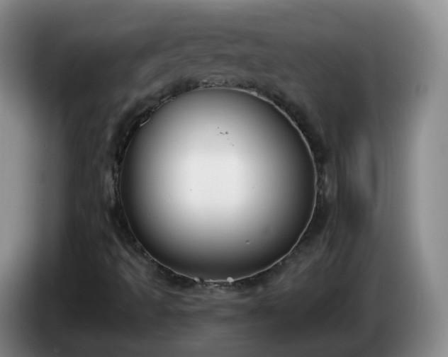 X0000085081493200703121652