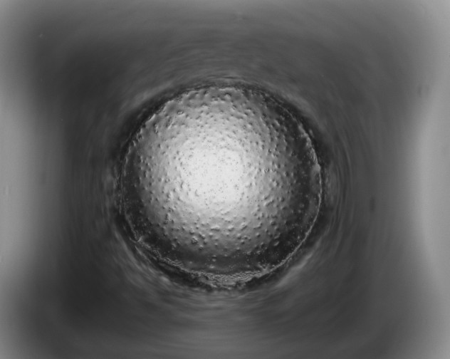 X0000085081494200703121652