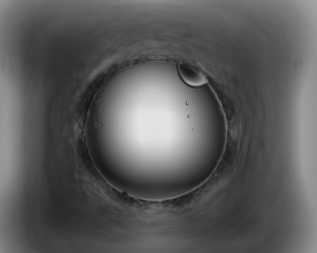 X0000085081495200703121652