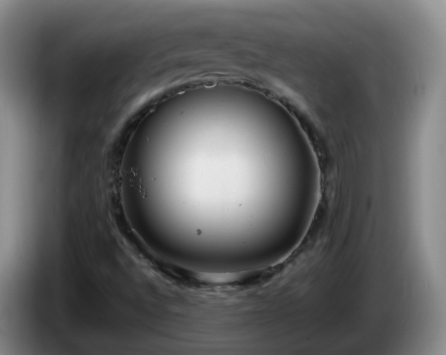 X0000085081496200703121652