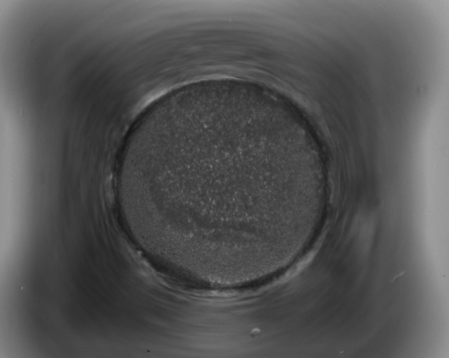 X0000085081497200703121652