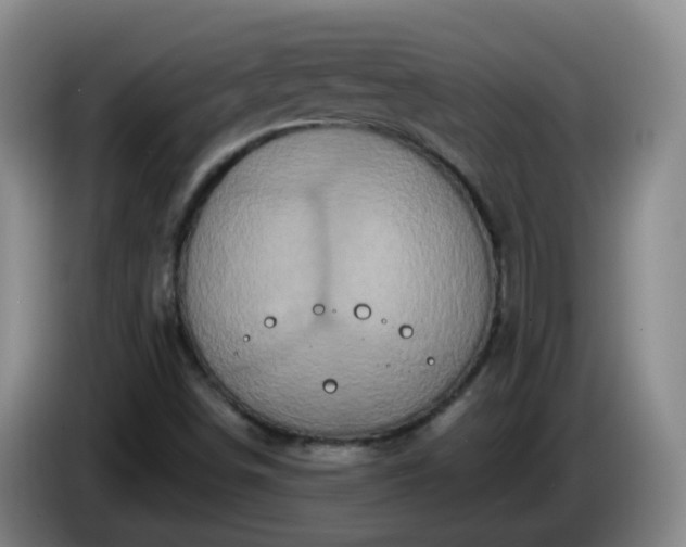 X0000085081498200703121652