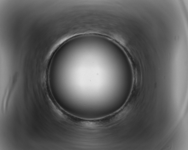 X0000085081500200703121652