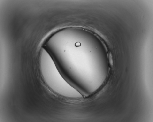 X0000085081502200703121652