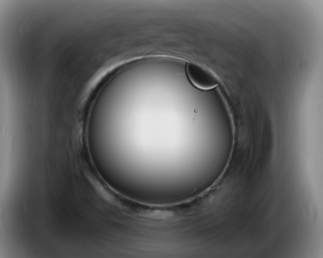 X0000085081503200703121652