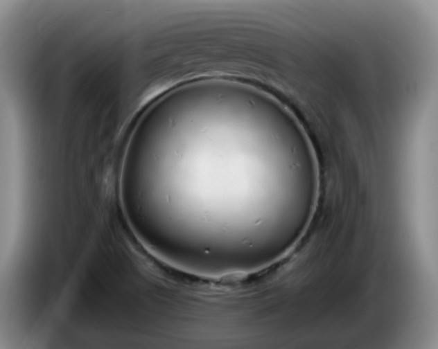 X0000085081505200703121652