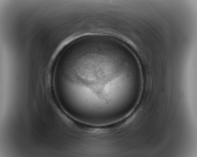 X0000085081506200703121652