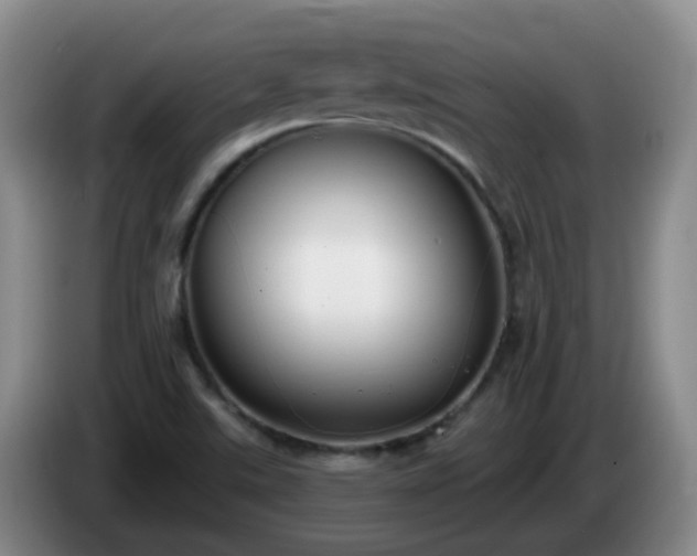 X0000085081507200703121652