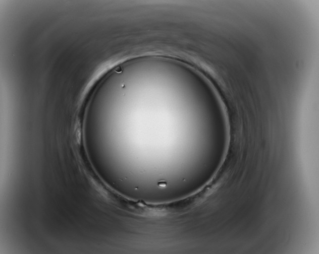 X0000085081509200703121652