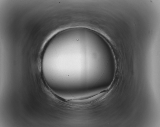 X0000085081510200703121652