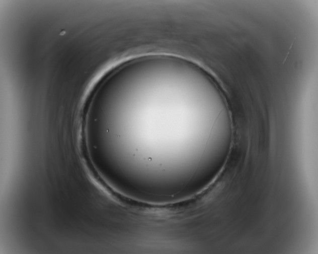 X0000085081511200703121652