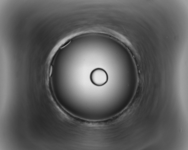 X0000085081512200703121652