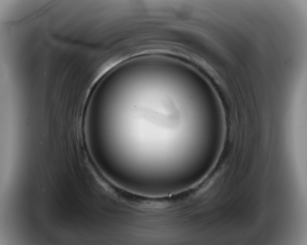 X0000085081513200703121652