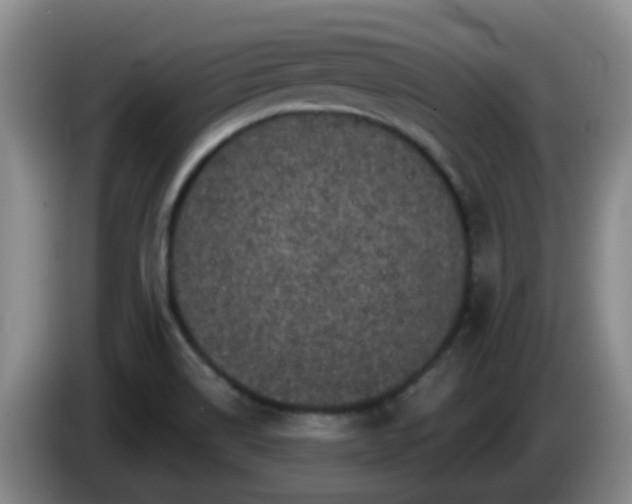 X0000085081514200703121652