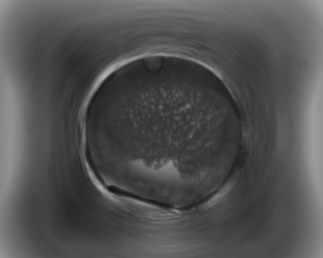 X0000085081515200703121652