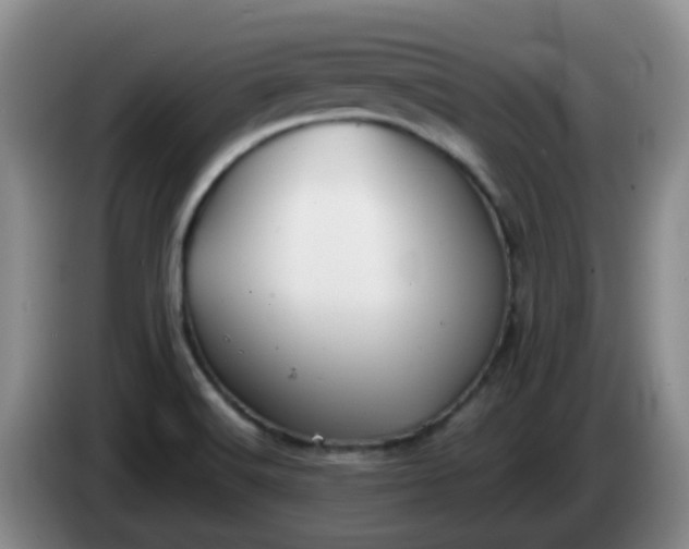 X0000085081516200703121652