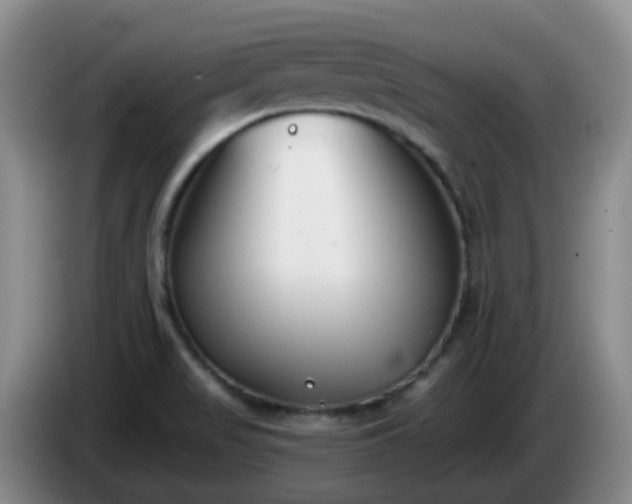 X0000085081517200703121652